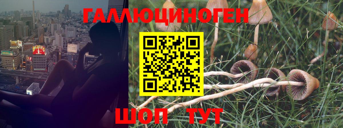 ГАШИШ  Конопля  Меф МЯУ МЯУ   Борисоглебск  Вход с VPN 